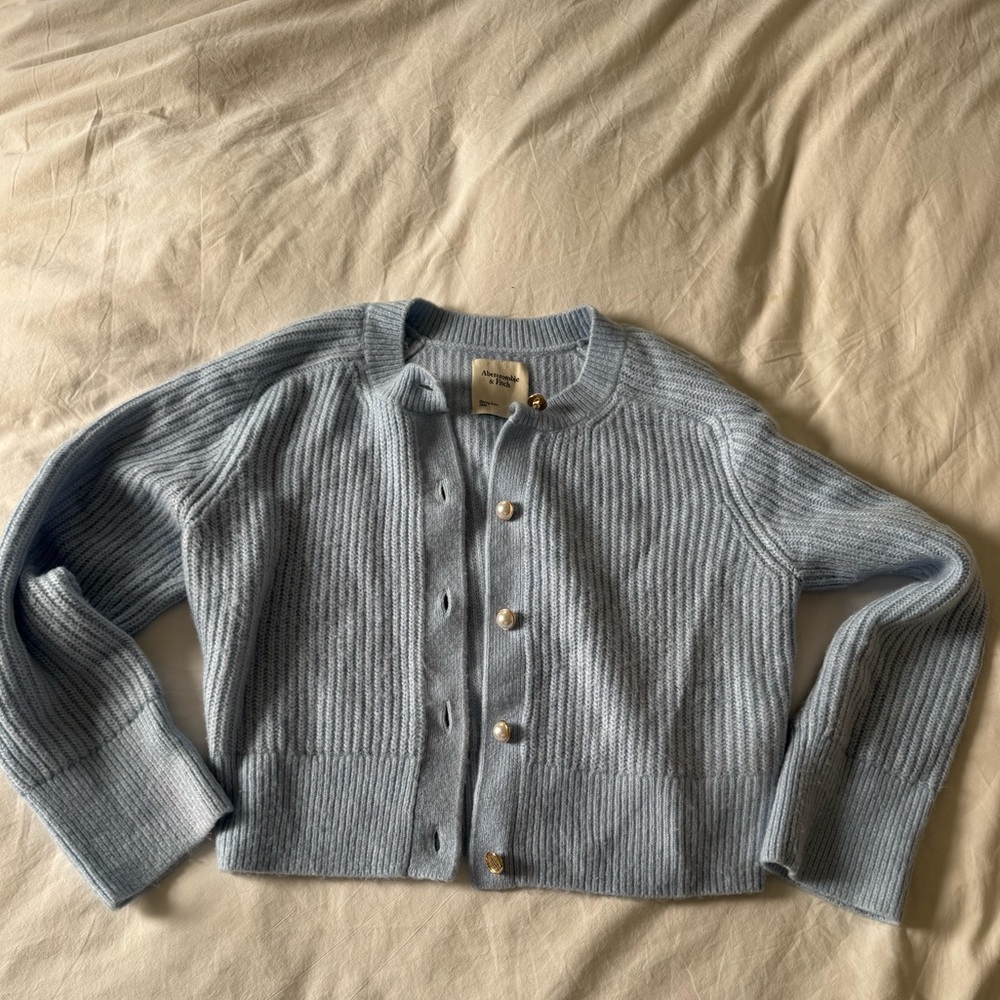 Abercrombie & Fitch Blue Cardigan Sweater